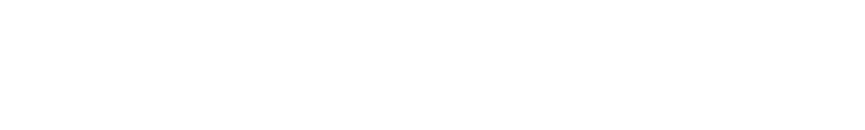 New York Electrical Authority
